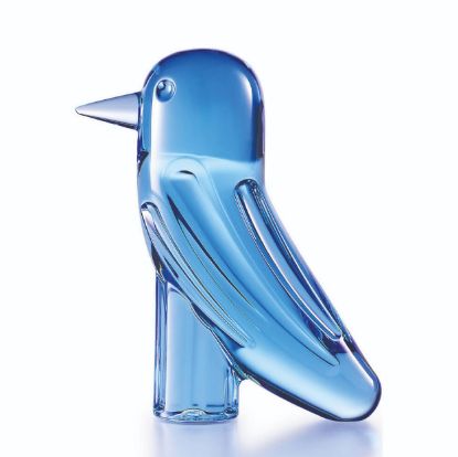 Imagen de Faun PÃ¡jaro azul