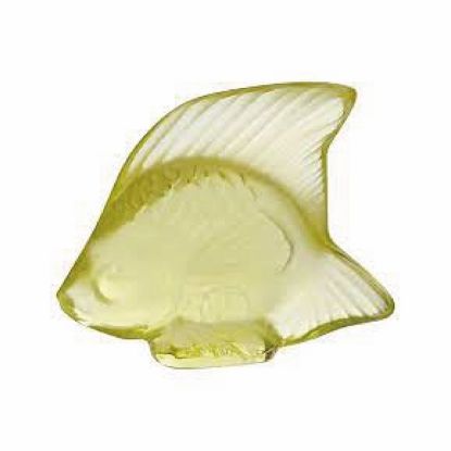 Imagen de Pez Amarillo