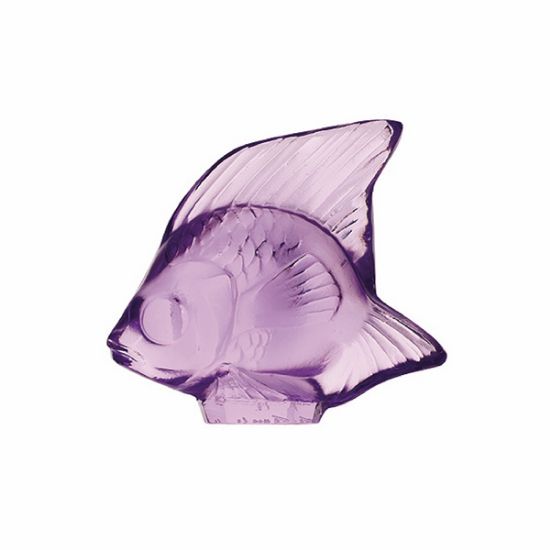 Imagen de Pez Violeto Claro