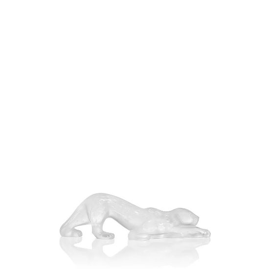 Imagen de Panther Clear Small